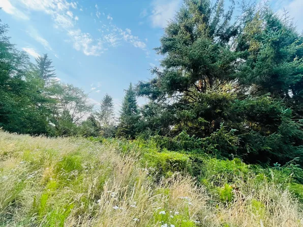 0 Williams Creek Rd, Ferndale, CA 95536