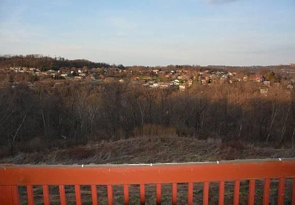 View from Deck