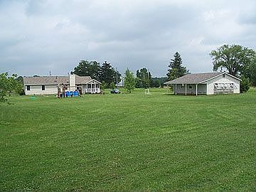 View of back yard