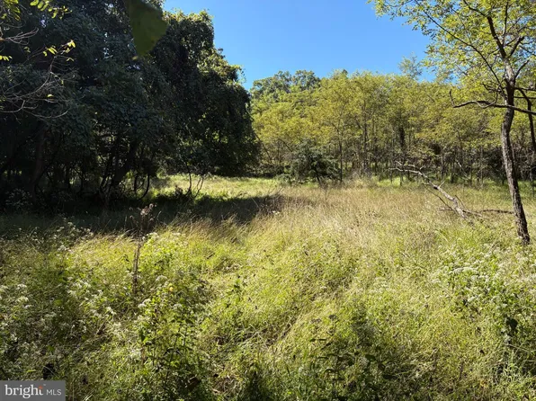 LOT 205 Graces Cabin Rd, Springfield, WV 26763