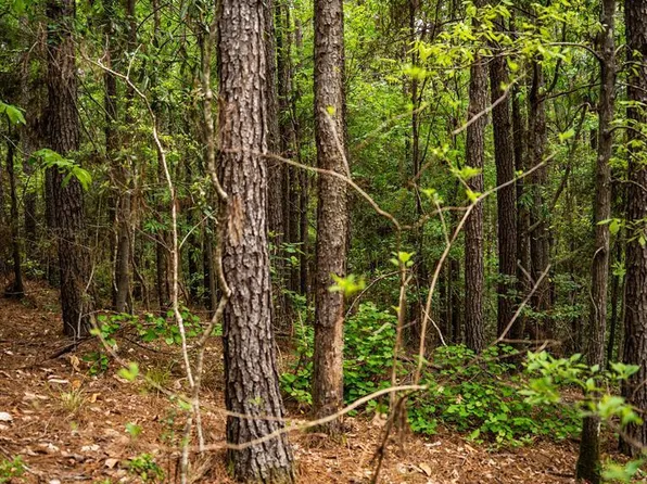 2683 33rd Hwy, Crosby, MS 39633