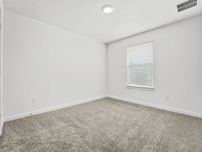 2505 Liam Aurora Ln — Photo 15