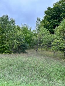 0 N 9th Rd, Mesick, MI, 49668