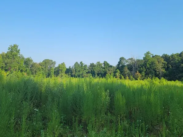 0 Bogue Chitto Rd SW, Mc Call Creek, MS 39647