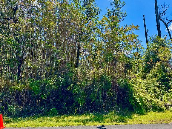 3rd image of Hibiscus St Lot 7392