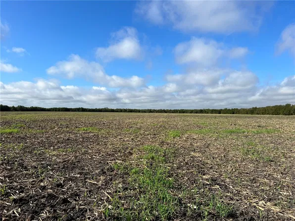 County Road 117, Rogers, TX 76569