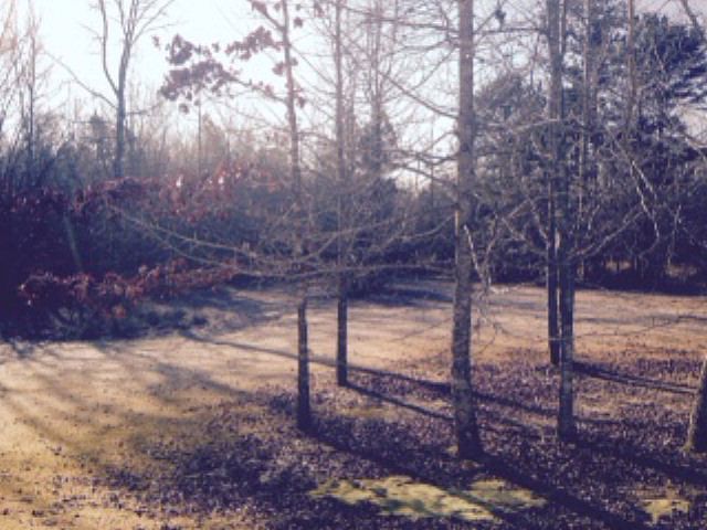 2nd image of 16 County Road 474