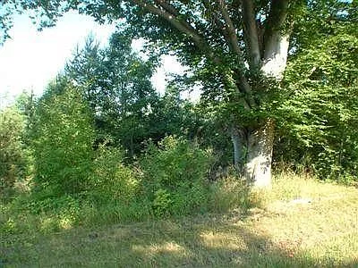 5893 W Austrian Pine Ln photo 1