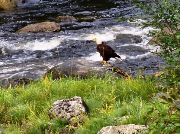 0 Carrot Ridge Rd, Orofino, ID 83544