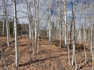 4357 Atila Rd, Hartsel, CO 80449