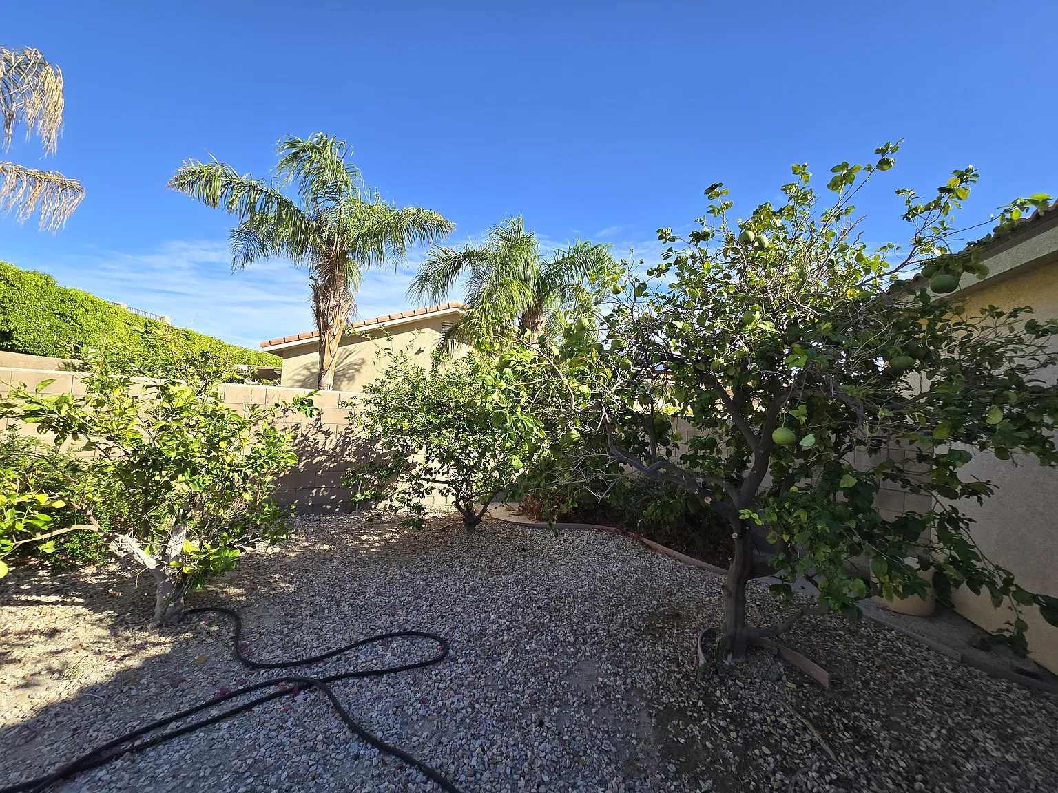 Gentry Ct, Desert Hot Springs — Photo 4