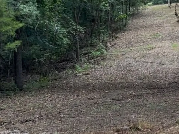 0 County Road 988 Dogwood Park 6 Lots 3 #4, Mountain Home, AR 72653