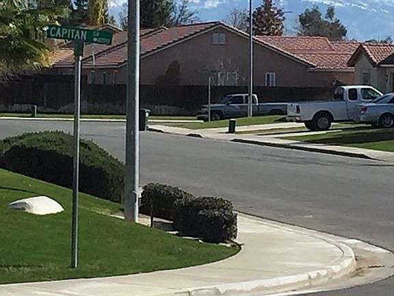 Street 