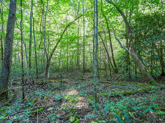 4th image of 90 Ac Tree House Road