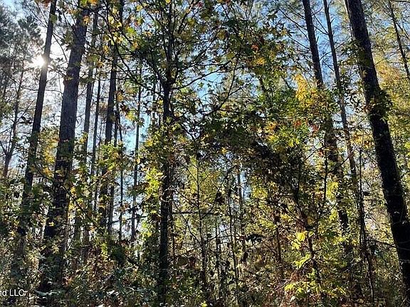 5th image of Delaware Ave