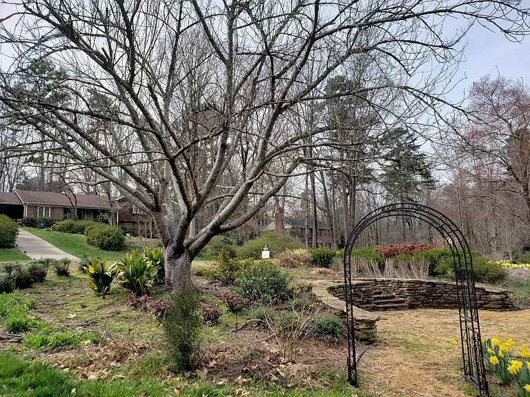 6812 Jean Dr — Photo 22