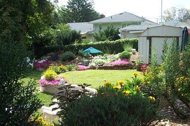 Beautiful back yard