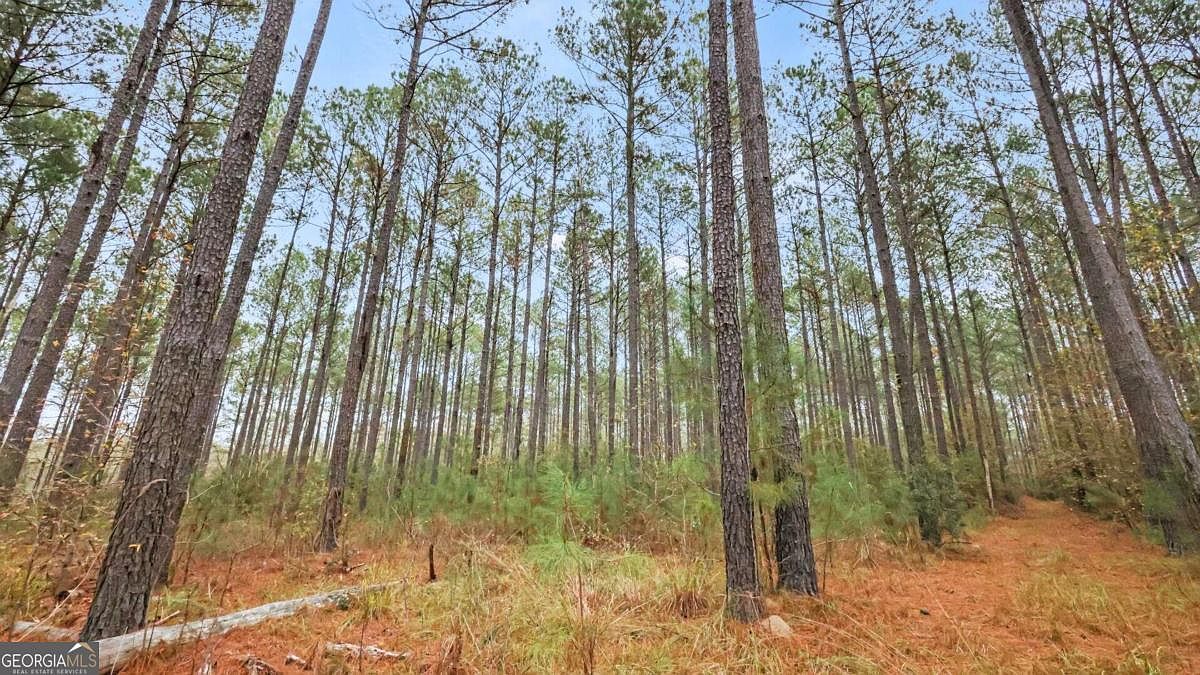 0 Hunter Rd TRACT 1, Ellaville, GA 31806 MLS 10230428 Zillow