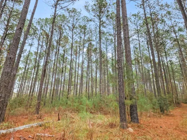 0 Hunter Rd Tract 1, Ellaville, GA 31806