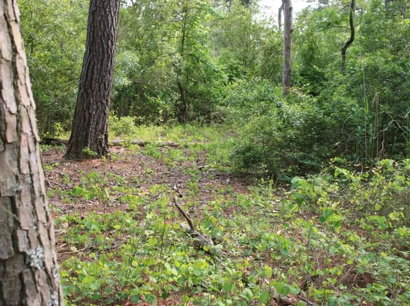 7300 Oak Ridge Pl #5A, Chincoteague Island, VA 23336