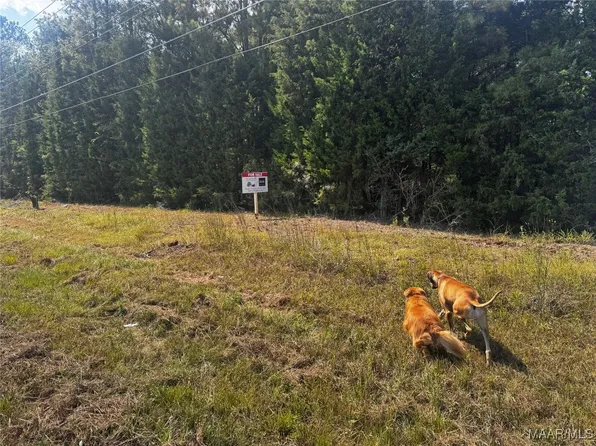 0 County Road 131, Boligee, AL 35443