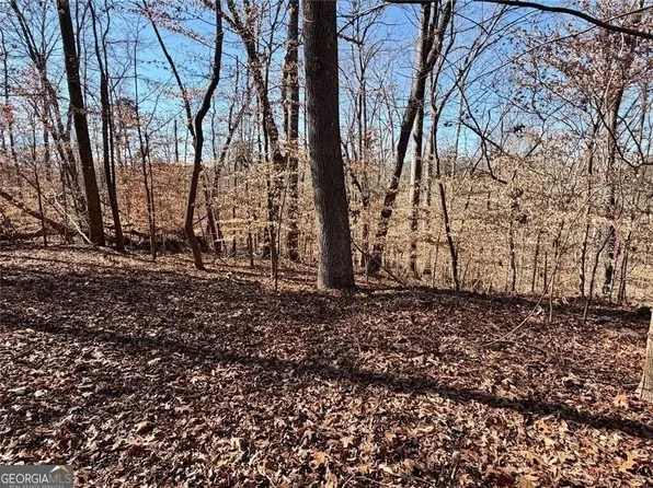 0 Arrowhead Dr #227, Lavonia, GA 30553