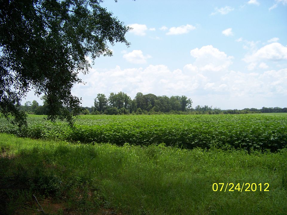 1st image of Willie Shirah Road