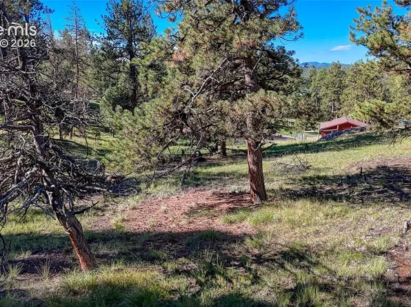 65 Utah Way, Florissant, CO 80816