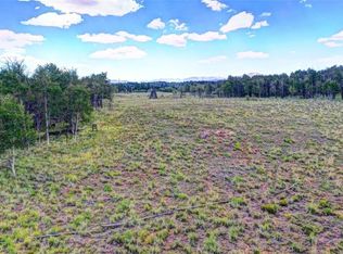 461 Vulture Ln, Como, CO 80456