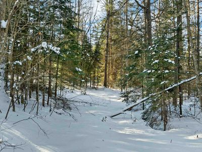 Nichols Road, Whitefield, NH, 03598