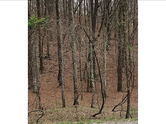 4th image of Monticello Dr