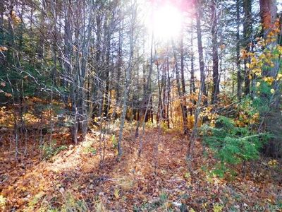 Tanzman Rd, Liberty, NY, 12754