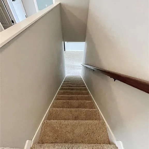 805 Bluff Ridge Ln — Photo 22