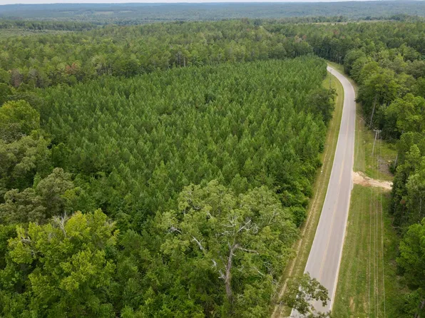 0 Walker Springs Rd Tract A, Jackson, AL 36545
