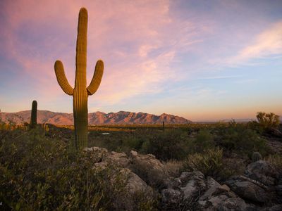13672 N Old Ranch House Rd #1, Marana, AZ, 85658
