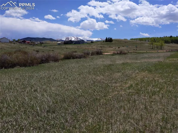 Herald Ln, Divide, CO 80814