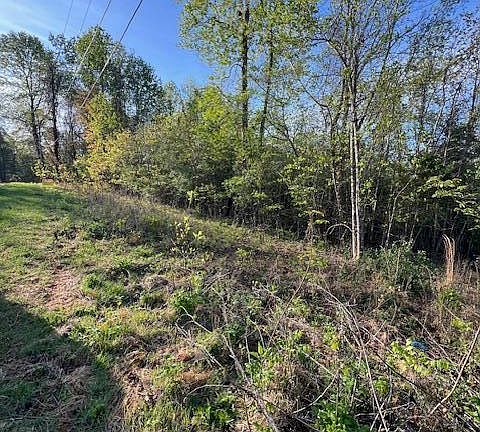 4th image of Pine Hollow Rd
