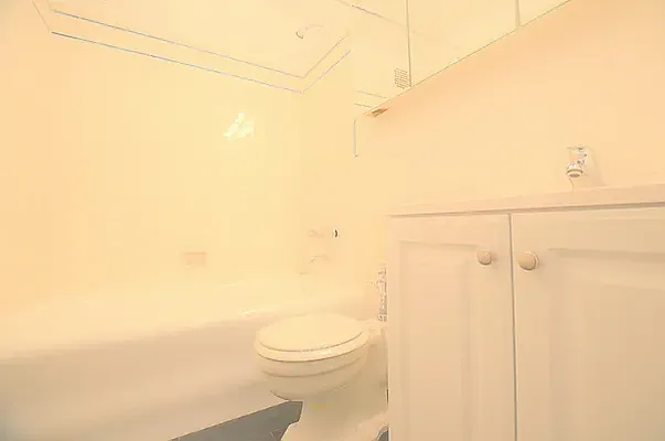 Rented by Manhattan Realty Group | media 9