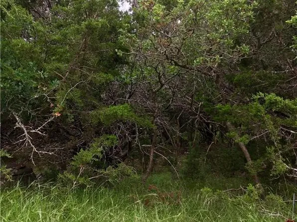 412 Shady Bluff Dr, Wimberley, TX 78676