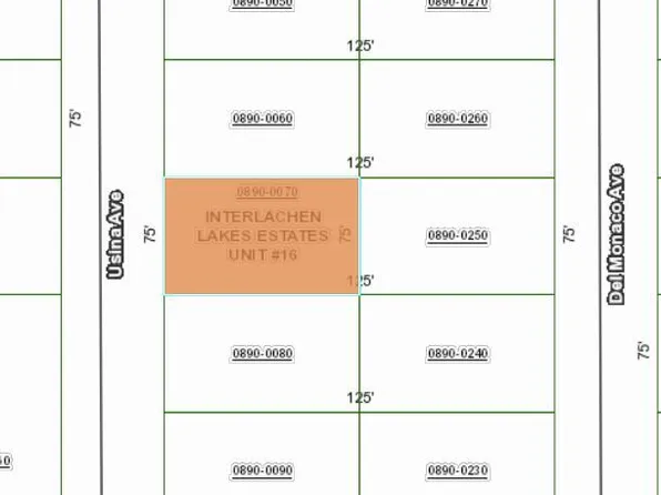 0 USINA Avenue, Interlachen, FL 32148