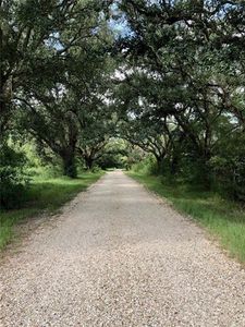 16/ACRE Highway 1085, Madisonville, LA, 70447