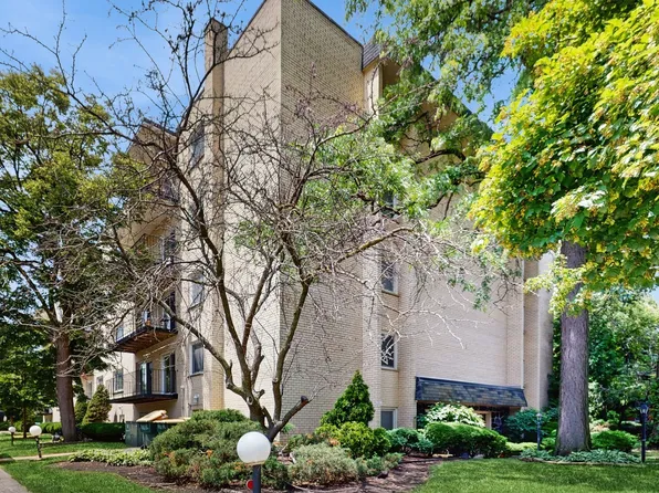 8650 Ferris Ave Unit 203, Morton Grove, IL 60053