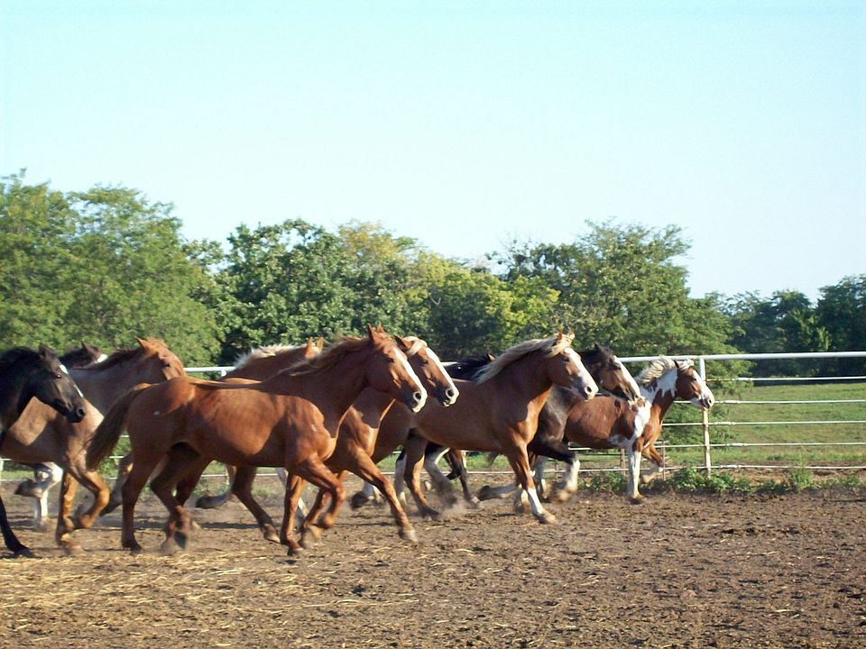 HURRY...Don't miss this deal!