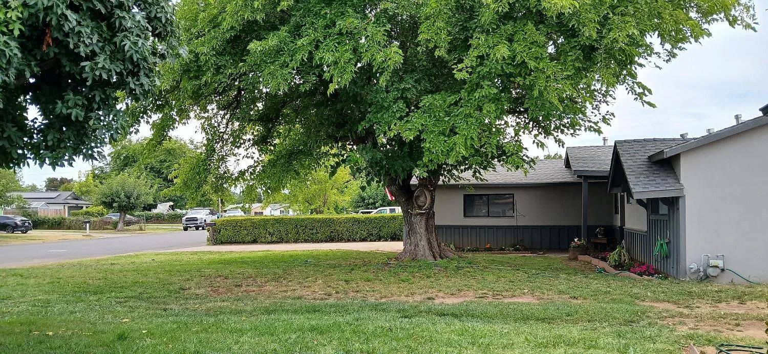 3 bed, 1072 sqft, $2,465 — Photo 3