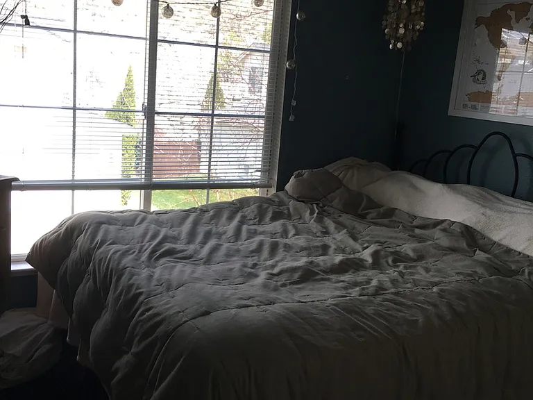 2141 Soldier Pass Ct — Photo 9