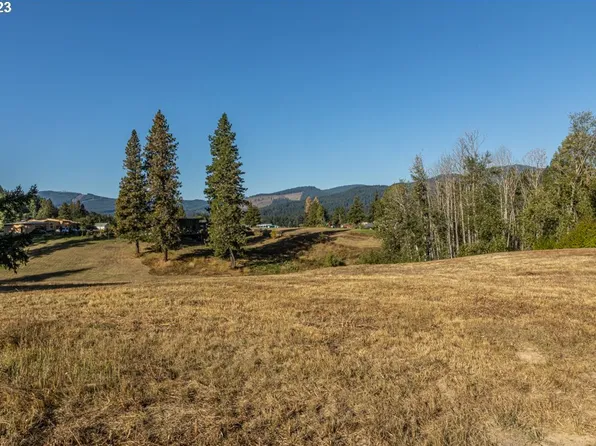 LOT 25 Husum Greens, White Salmon, WA 98672