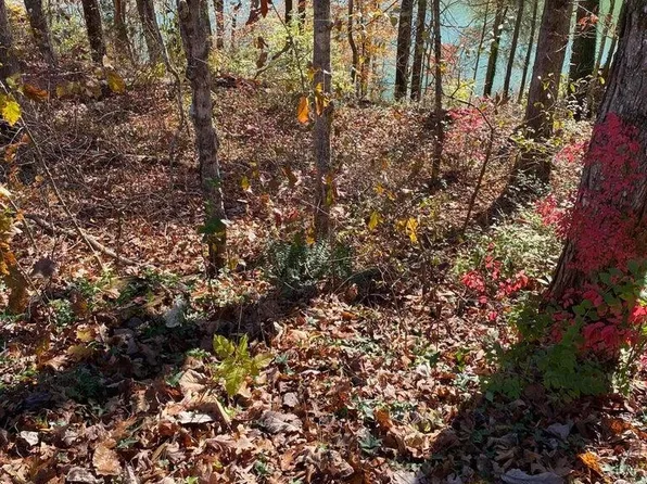 Indian River Bd Rd, Jacksboro, TN 37757