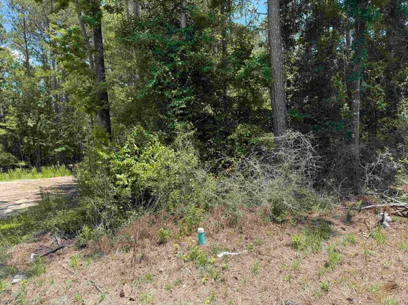 LOT 49 Blackfoot Rd, Crawfordville, FL 32327