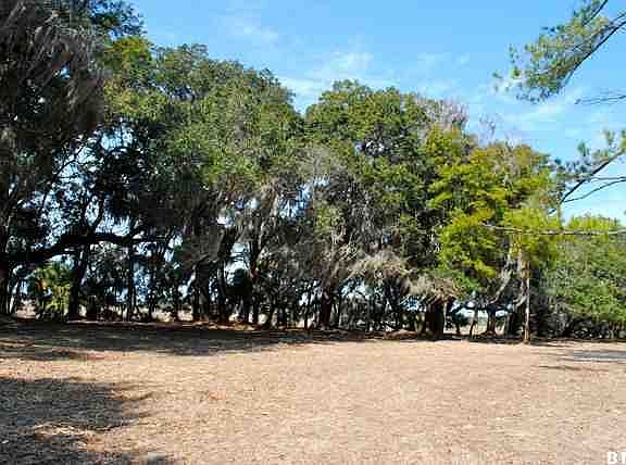 5th image of Tbd Sea Island Parkway Street