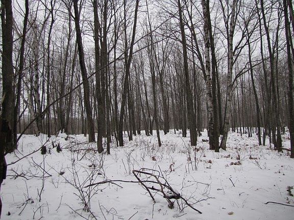 4th image of N5091 State Highway M95